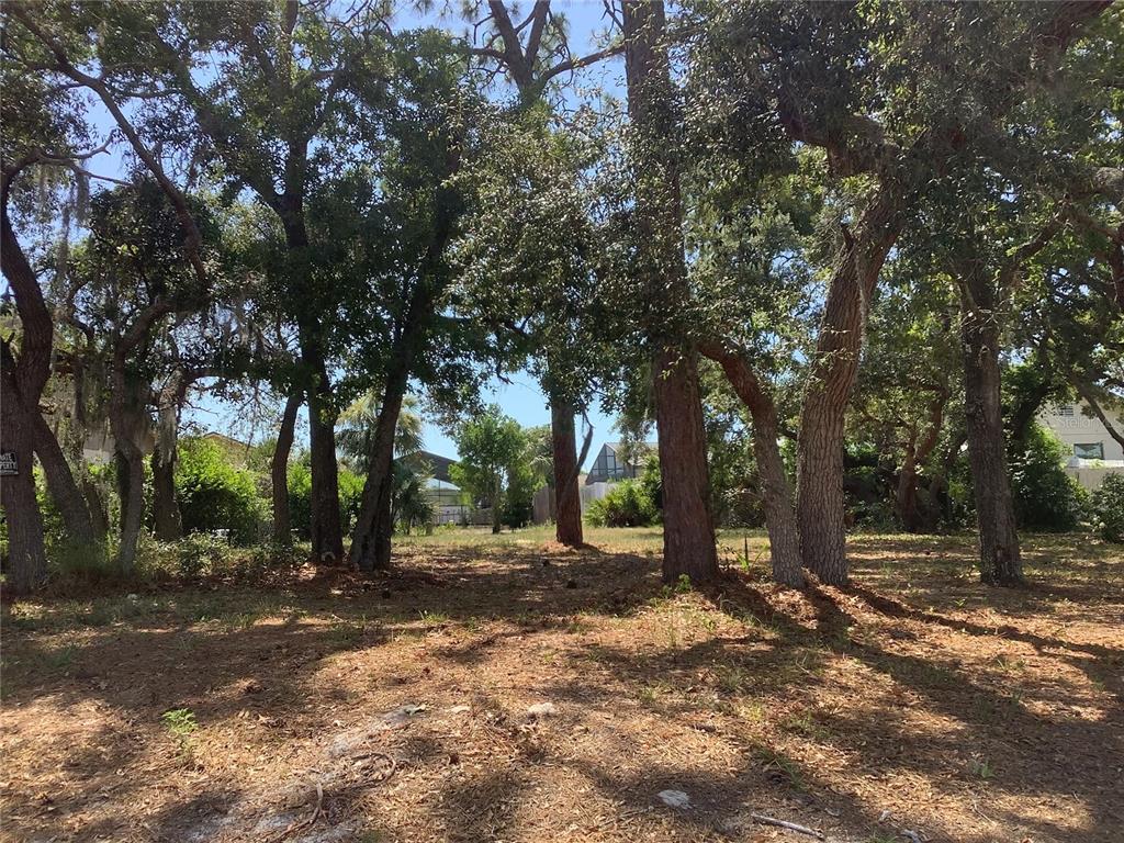 a view of outdoor space with tree s