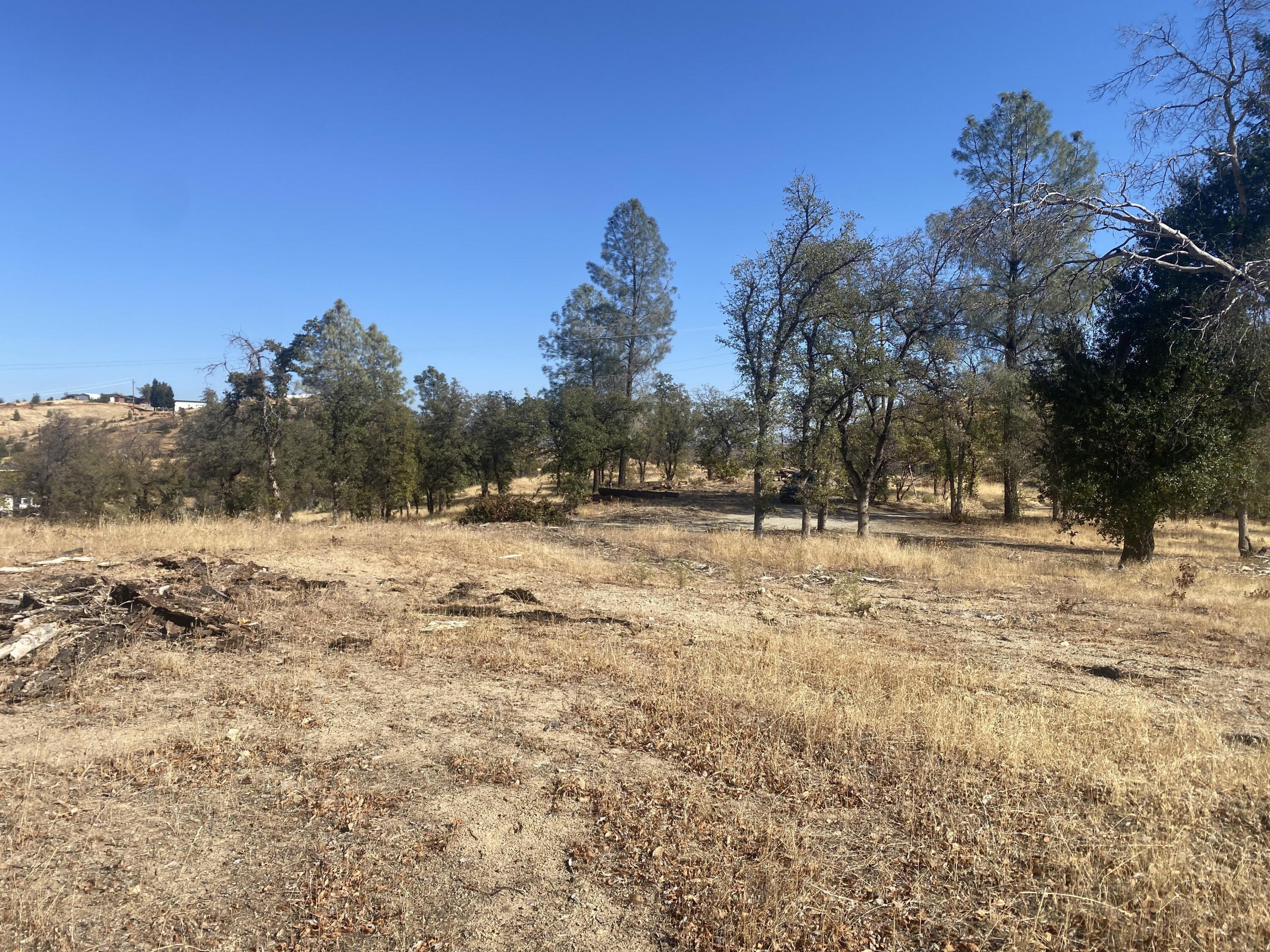 Pasture View