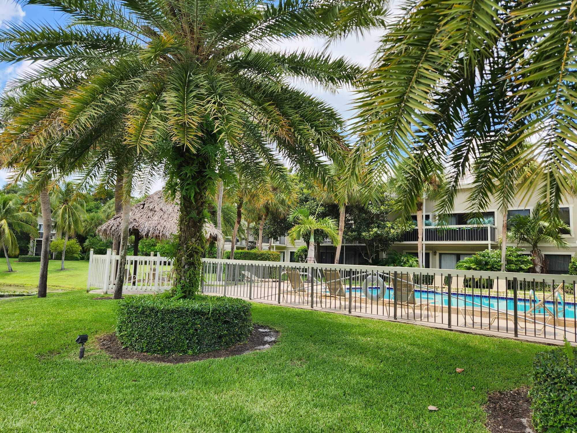 a view of a yard with a house and large trees