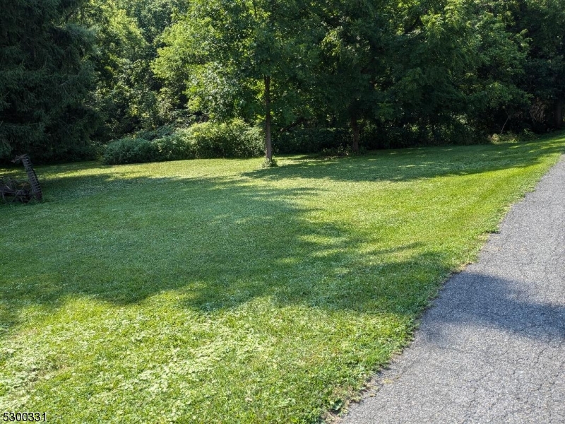 a view of outdoor space with a garden and trees