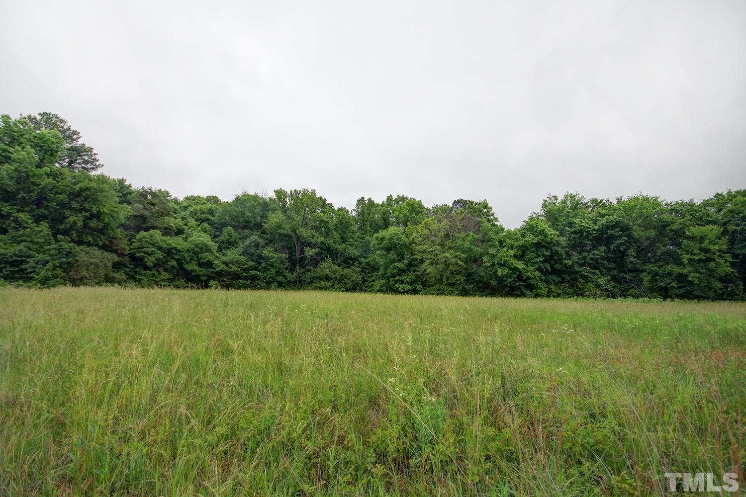 a view of field with trees in the background