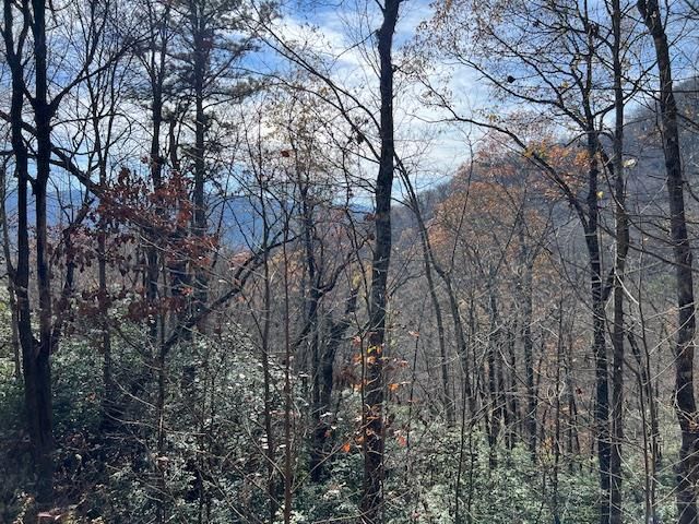 $39,000 | Lot 19 The Highlands Hiawassee Ga 30546