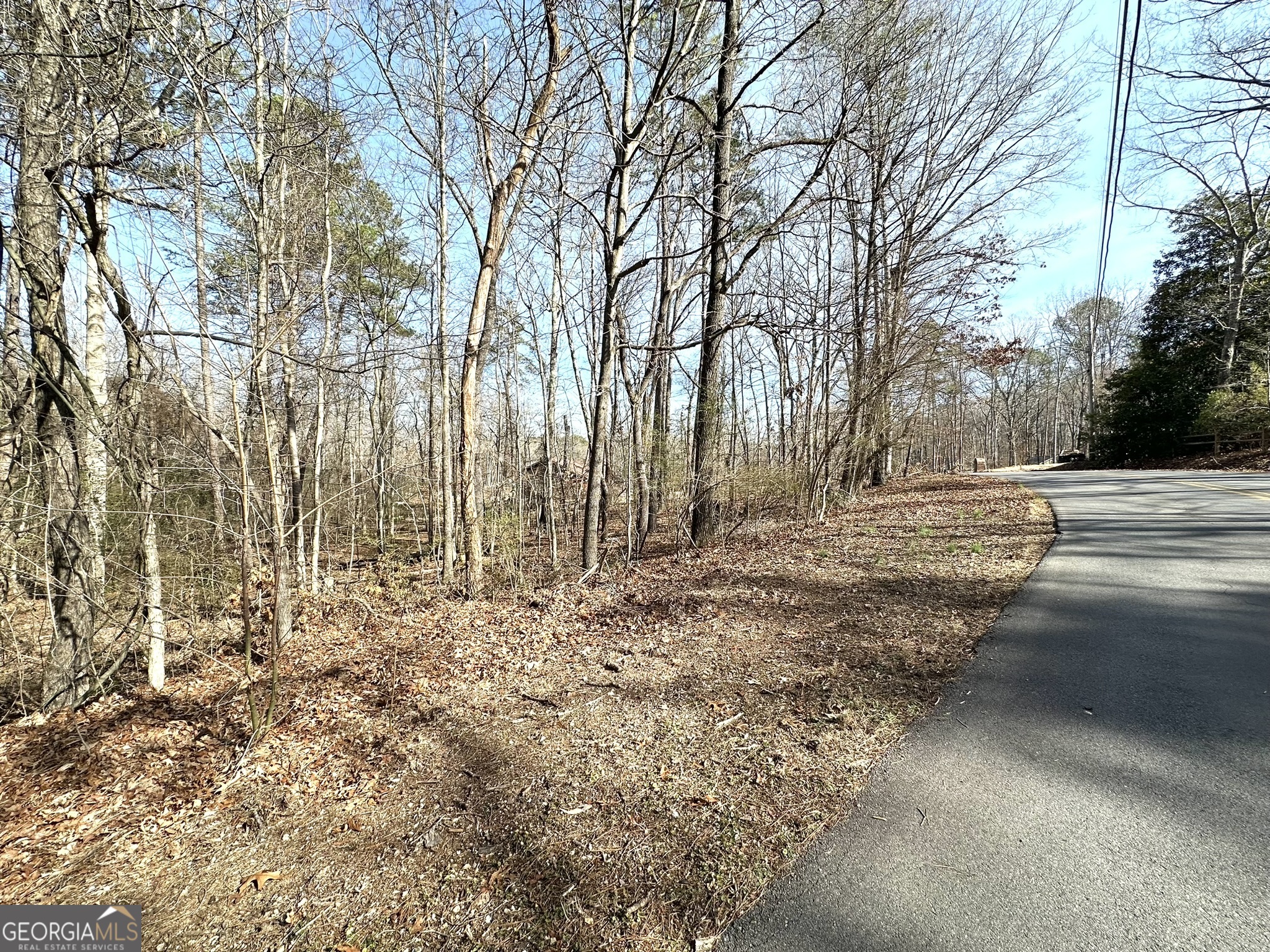 a view of dirt yard with a large tree