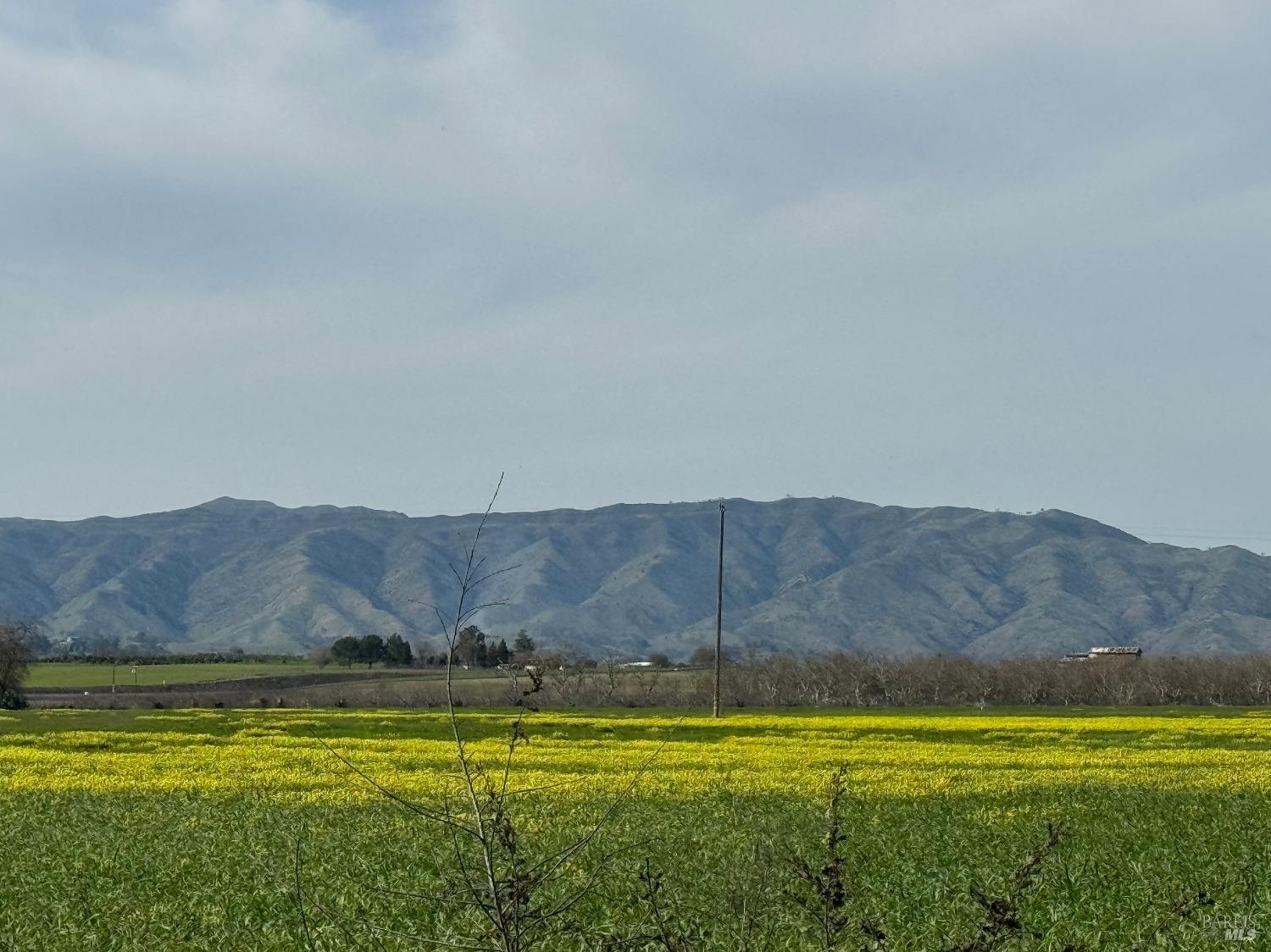 a view of a large pool with mountains in the background