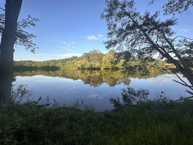 a view of lake with green space