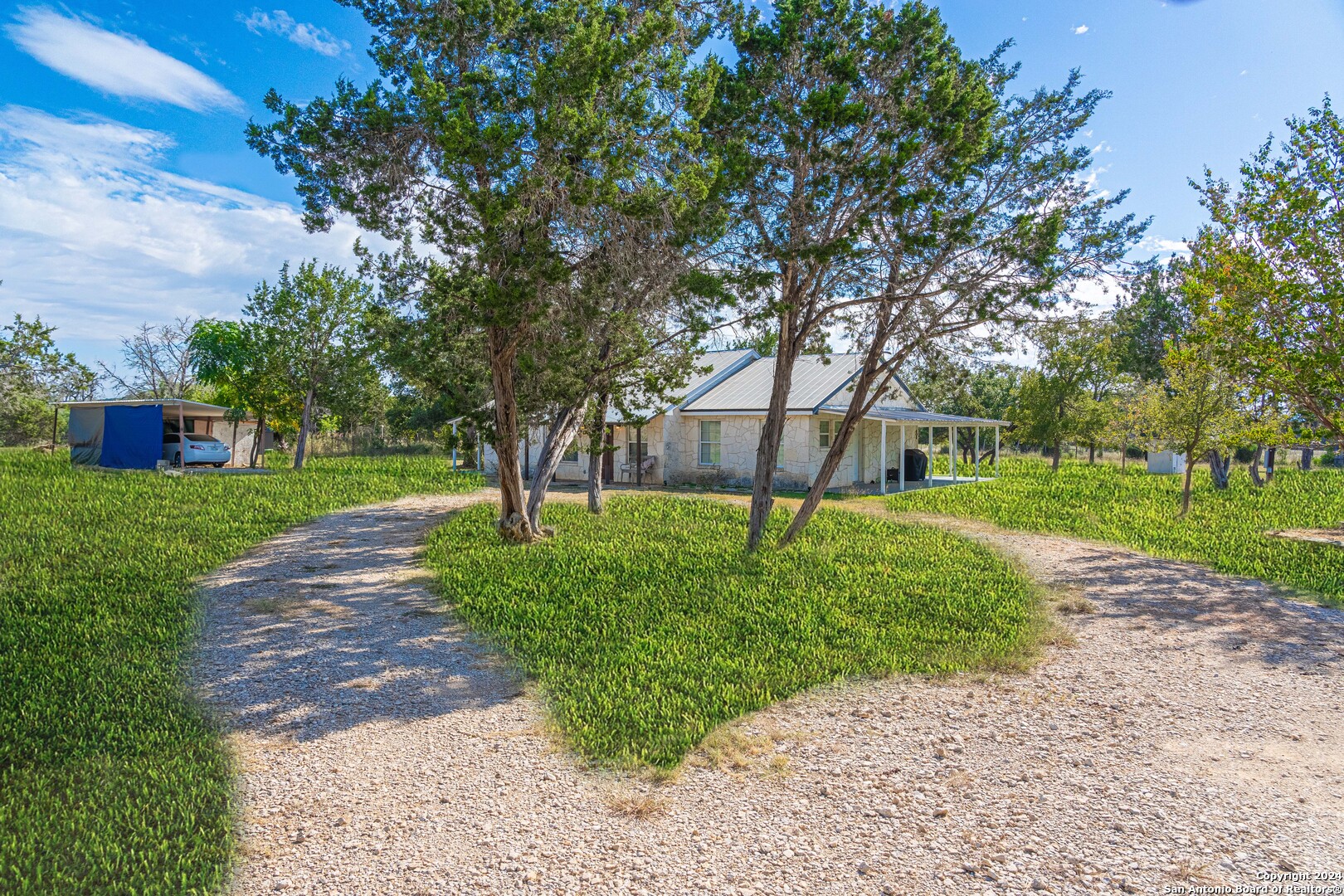 a view of a yard with plants and trees