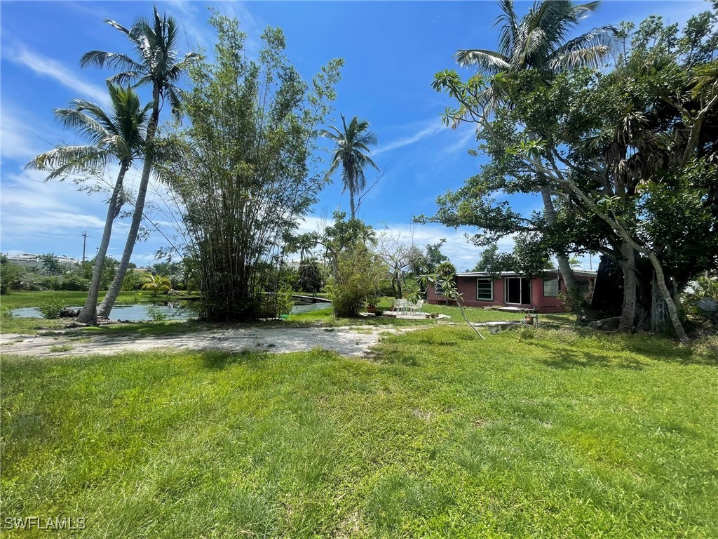 a backyard of a house with table and chairs plants and large tree