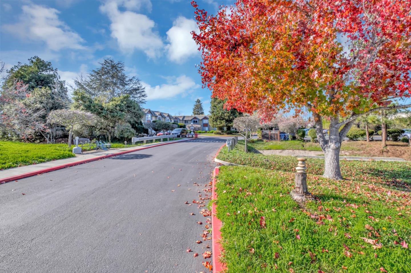 a view of a street with a yard and a fountain