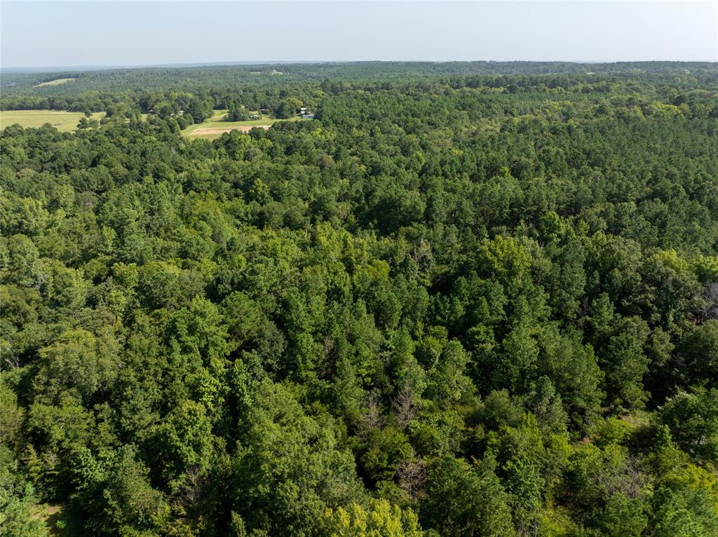 a view of a green field with lots of bushes