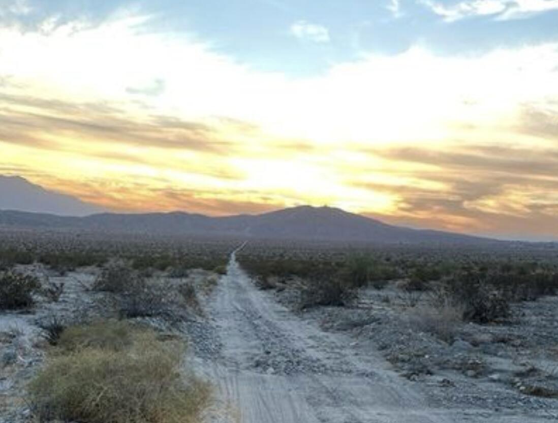 a view of a dry yard with mountains in the background