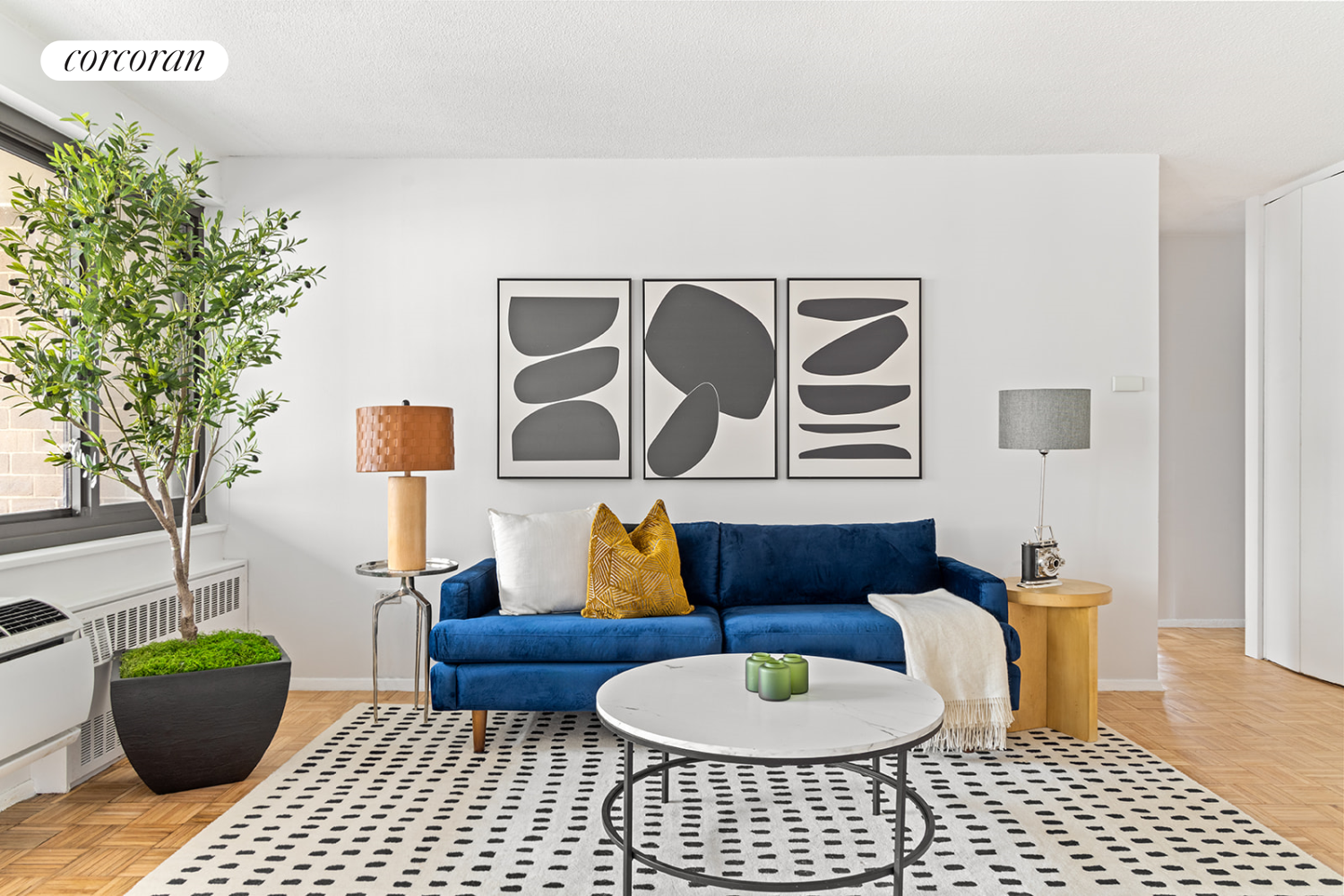 a living room with furniture and a potted plant