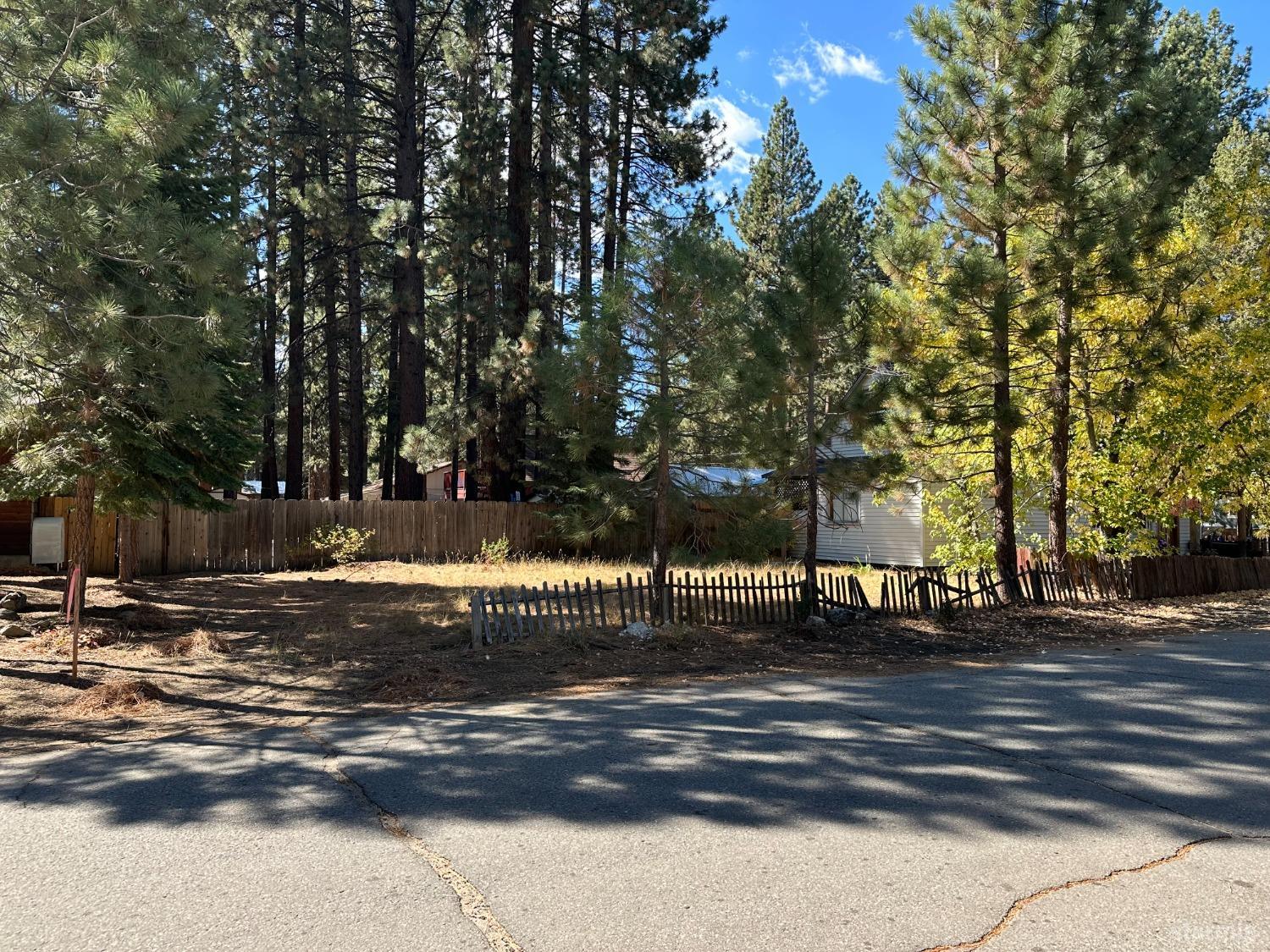 a view of a yard with large trees