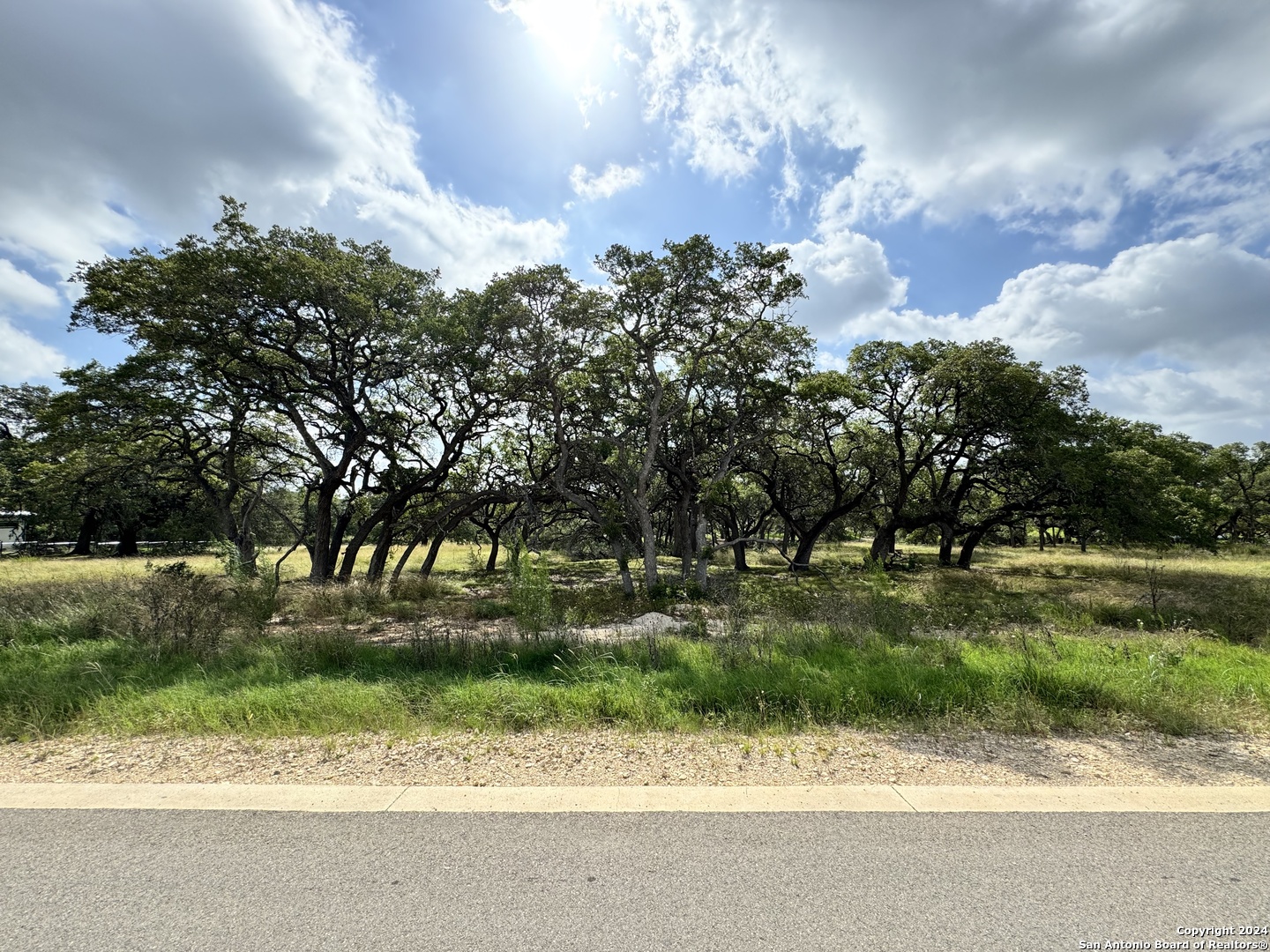 a view of a yard and a cars park side of the road