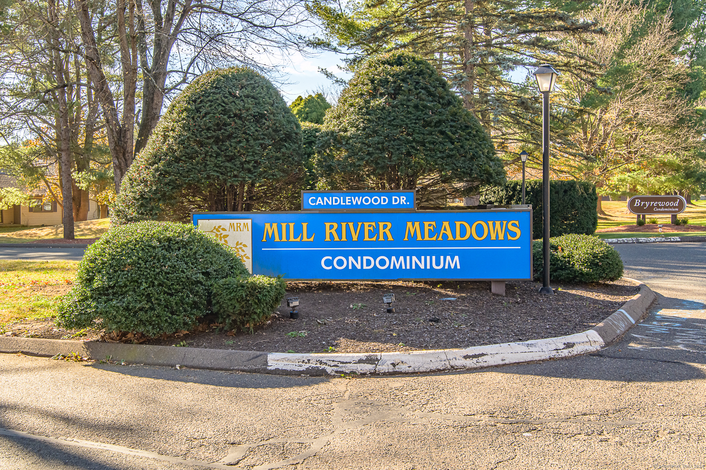 a view of a street sign under a large tree