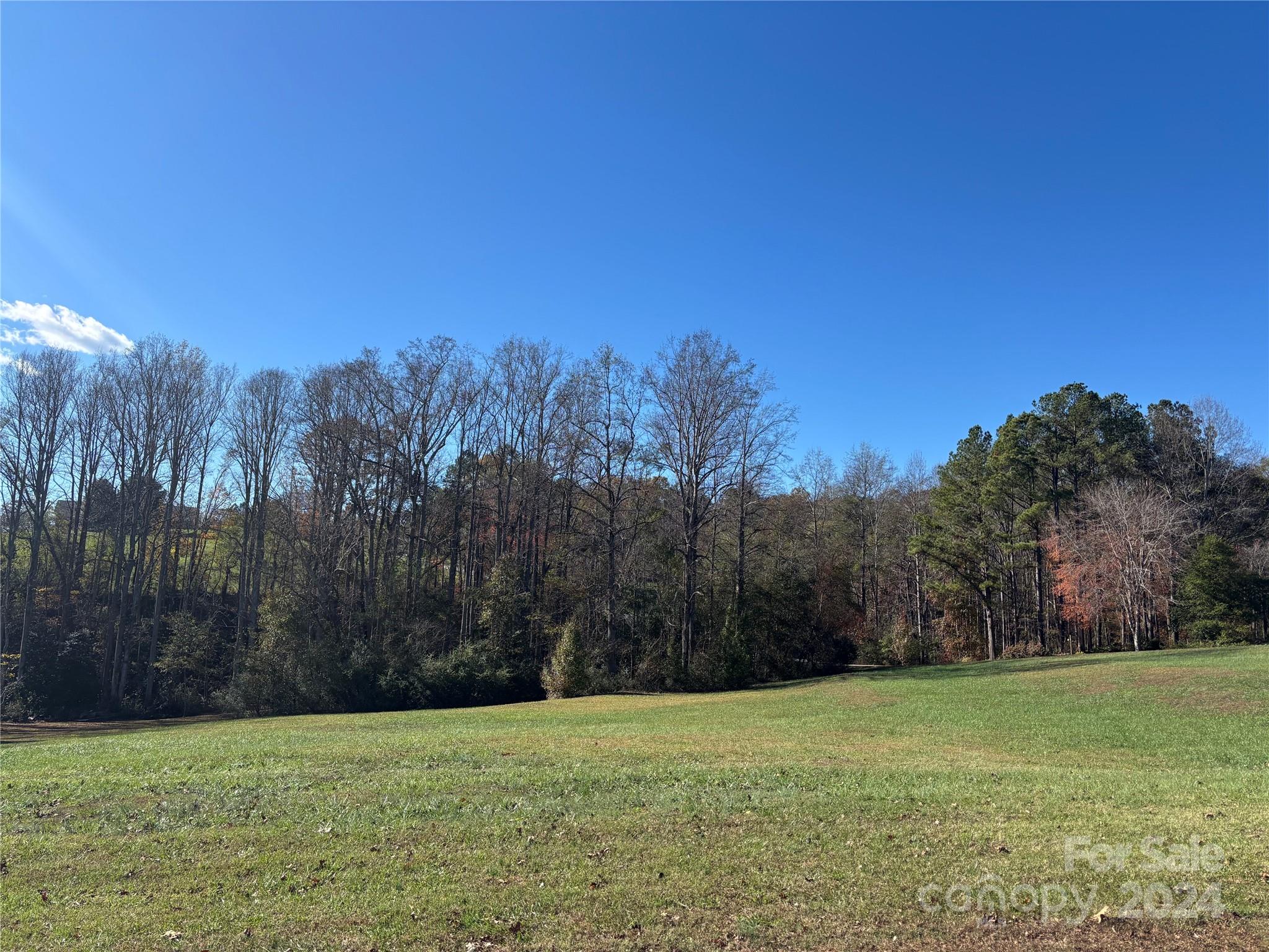 a view of a field with trees in the background