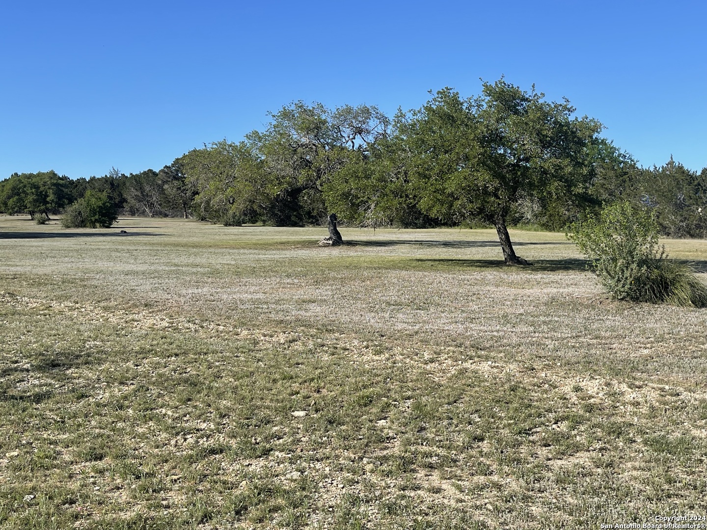 a view of a field with trees in the background