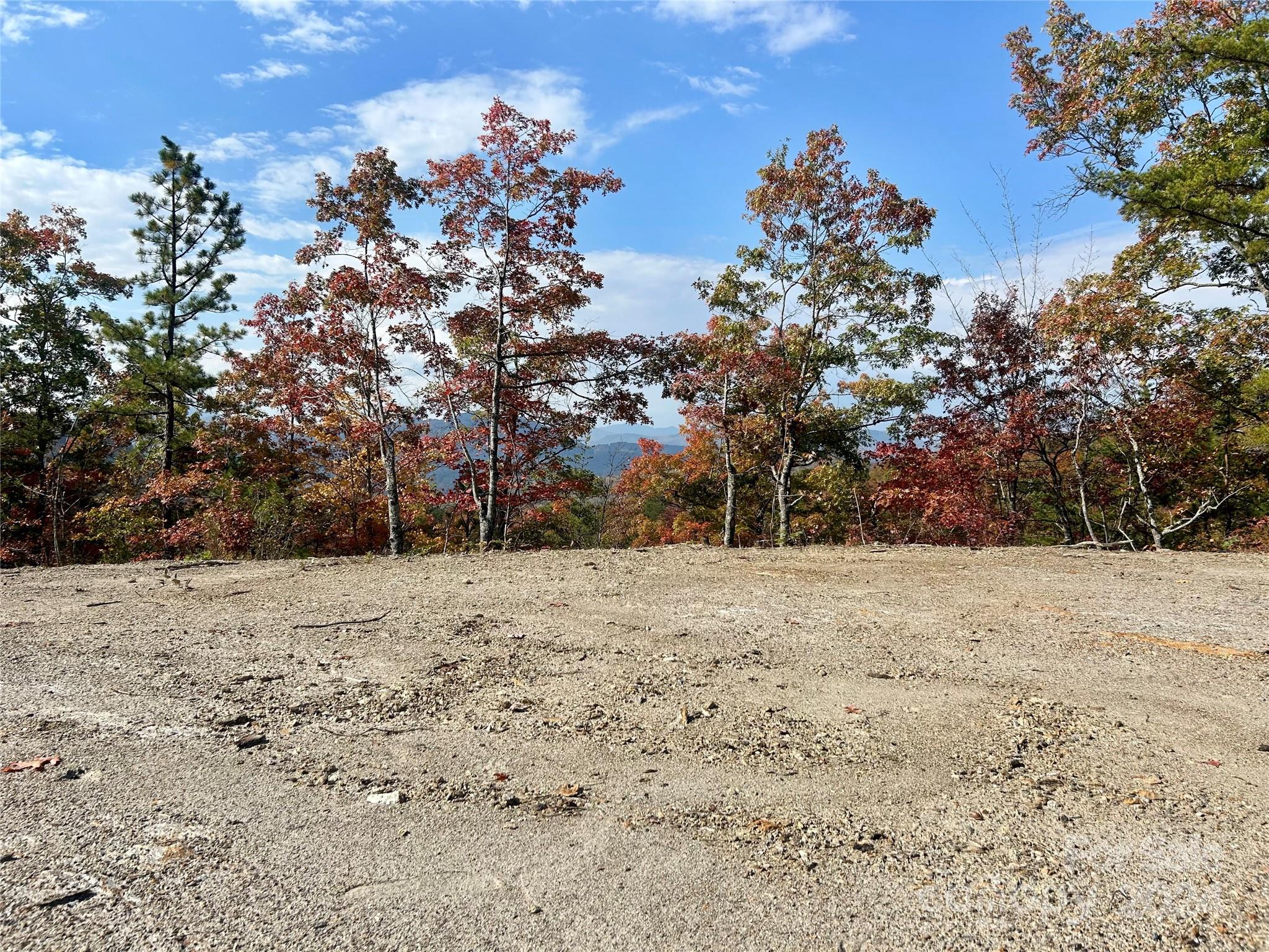 a view of dirt yard with a tree