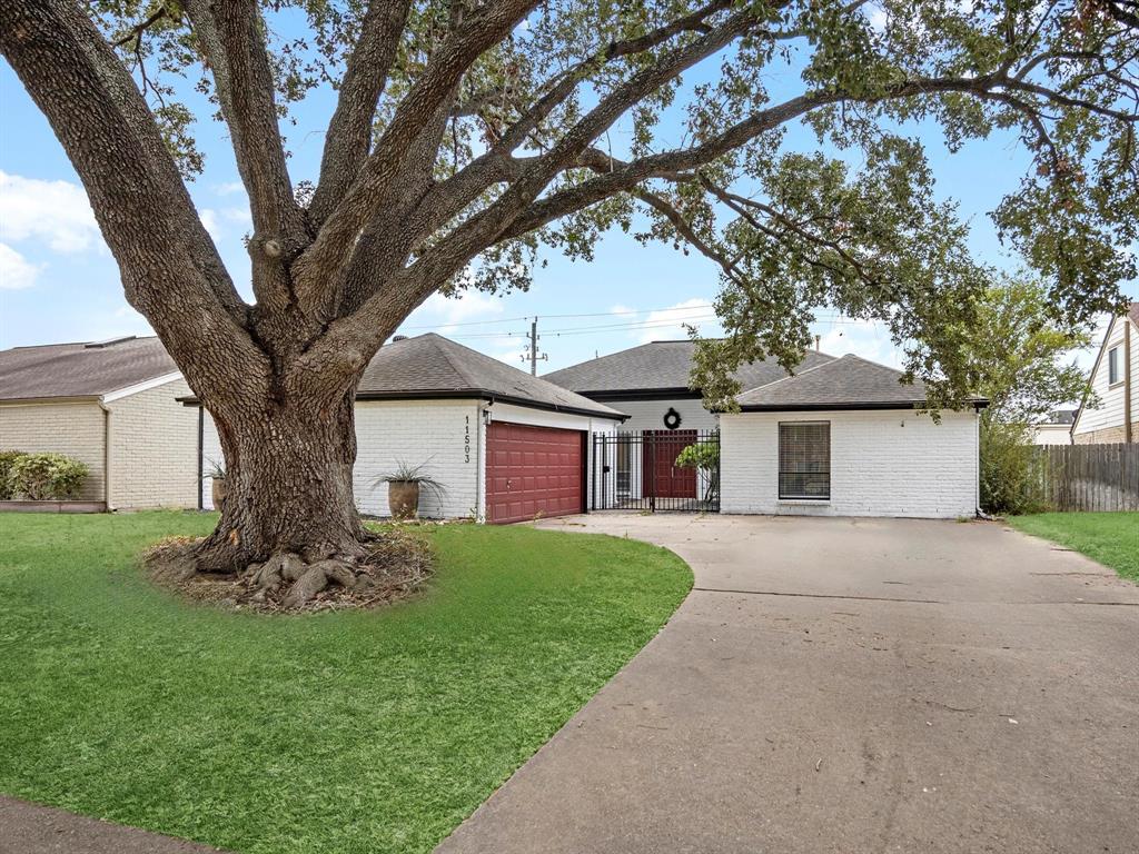 a view of a house with a tree in a yard