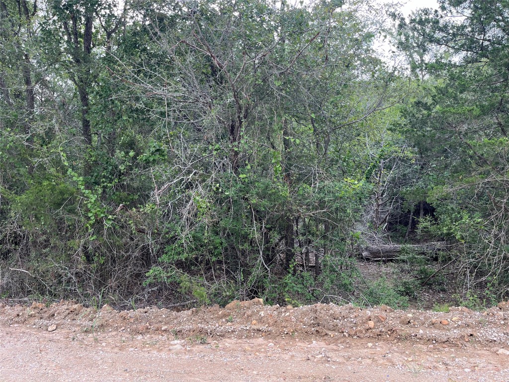 a view of a yard with a tree