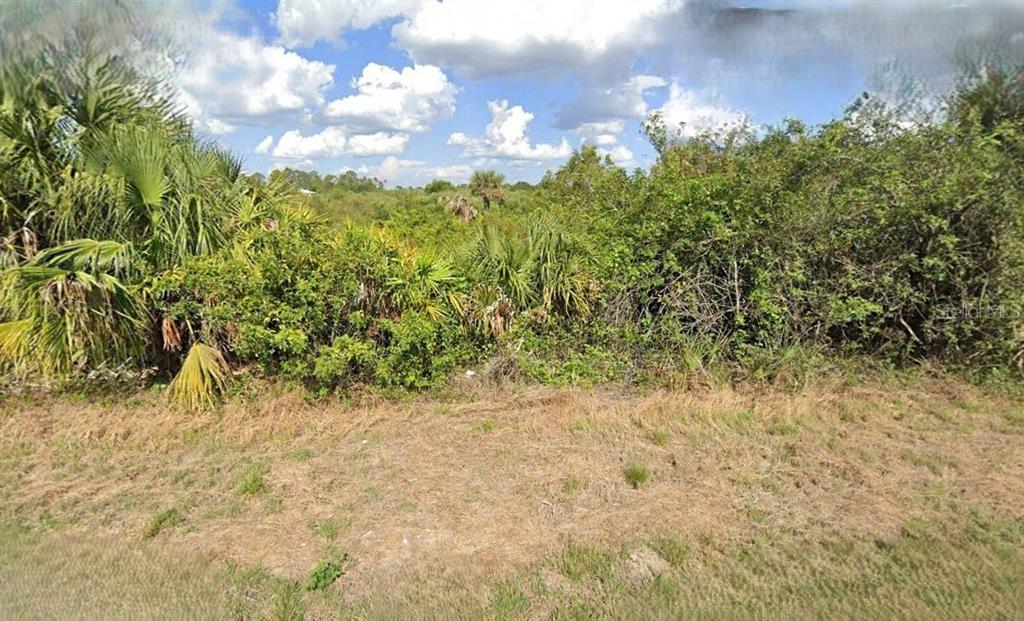 a view of a yard with trees