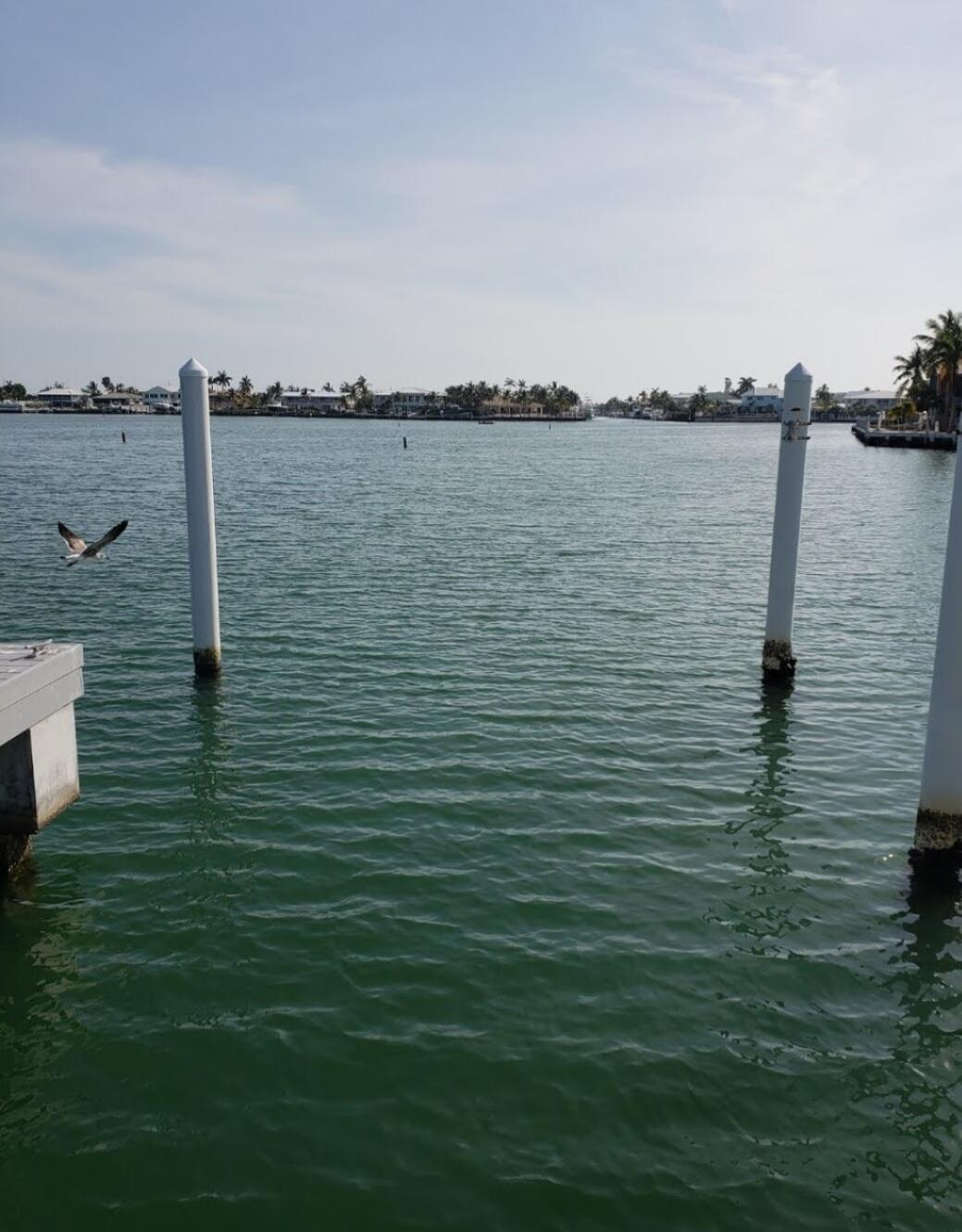 a view of a lake view