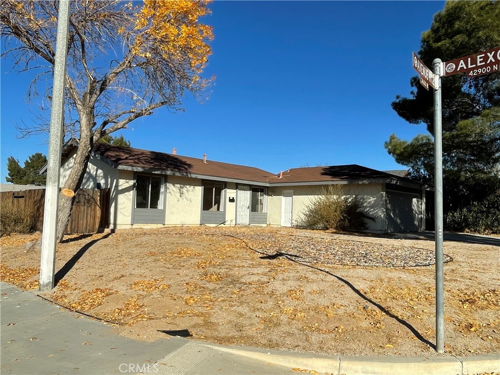 a view of house with a yard