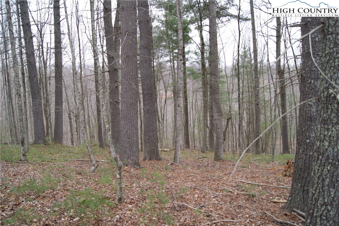 a backyard of the house