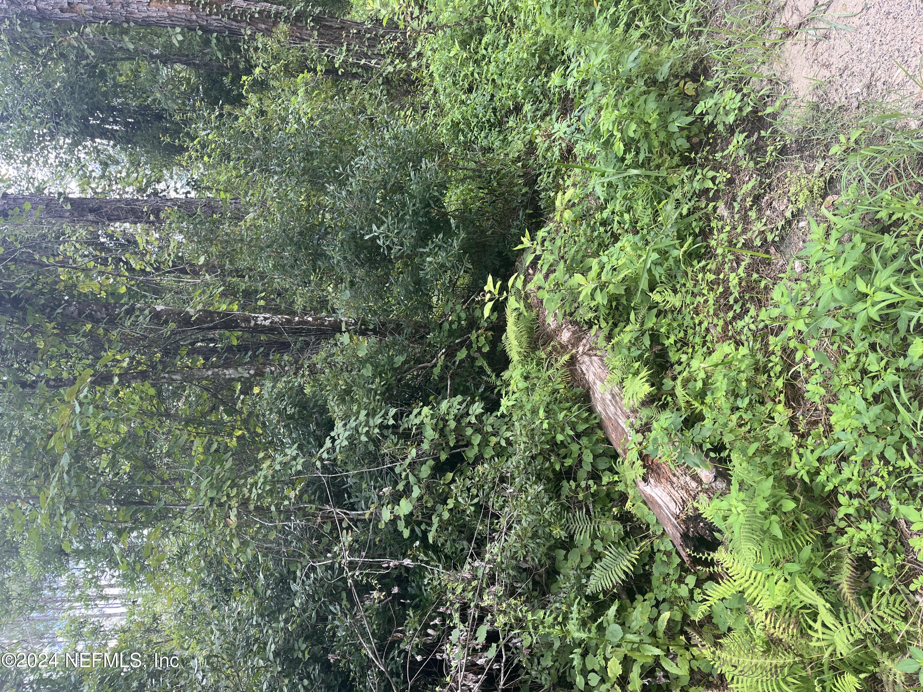 a view of a lush green forest with trees and houses