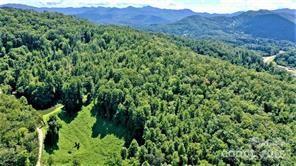 a view of a lush green forest with trees and some houses