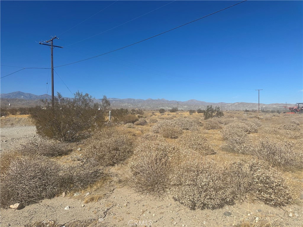 a view of a dry yard with trees