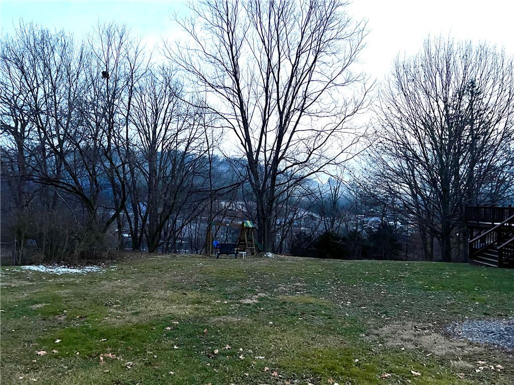 a view of a yard with tree