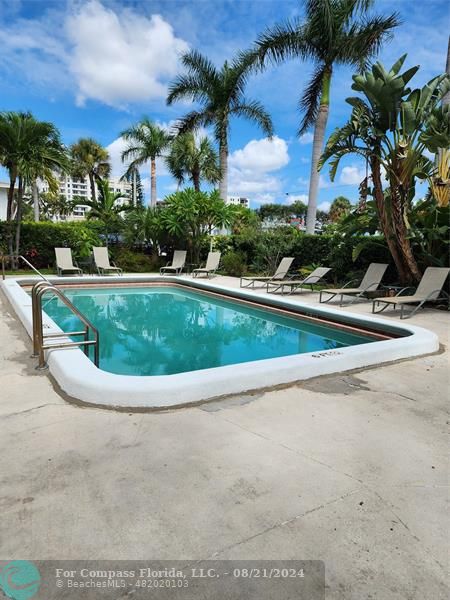 a view of a swimming pool with a yard