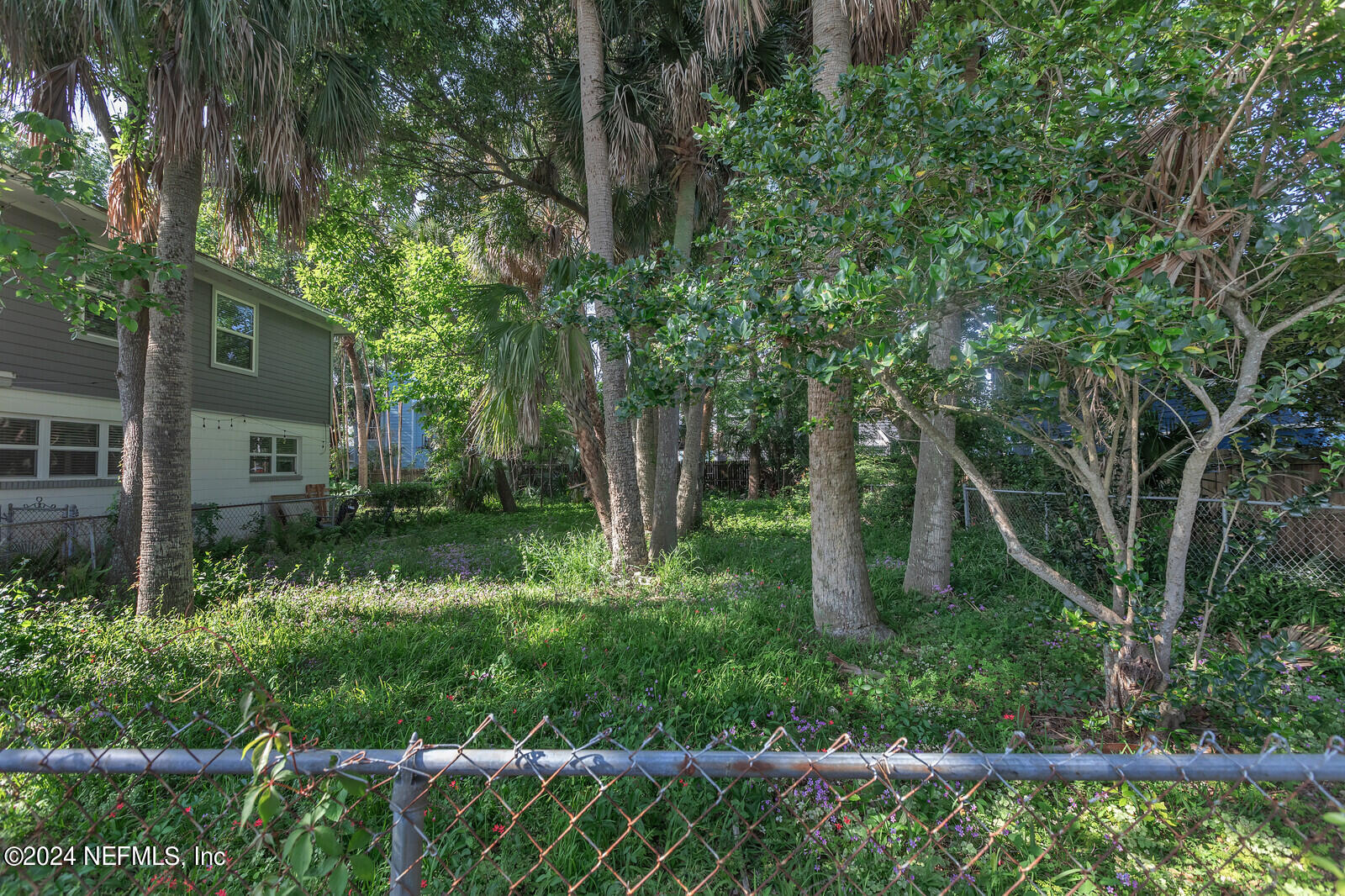 a backyard of a house with lots of green space and plants