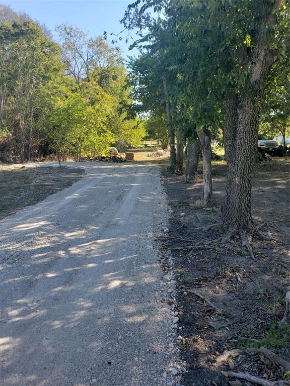 a view of a yard with a tree