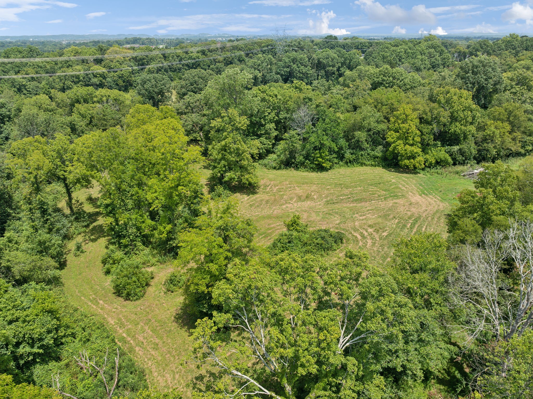 a view of a lush green field