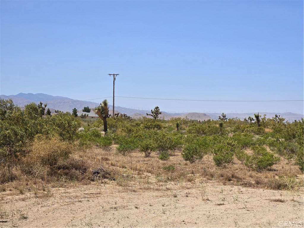 a view of a dry yard with wooden fence