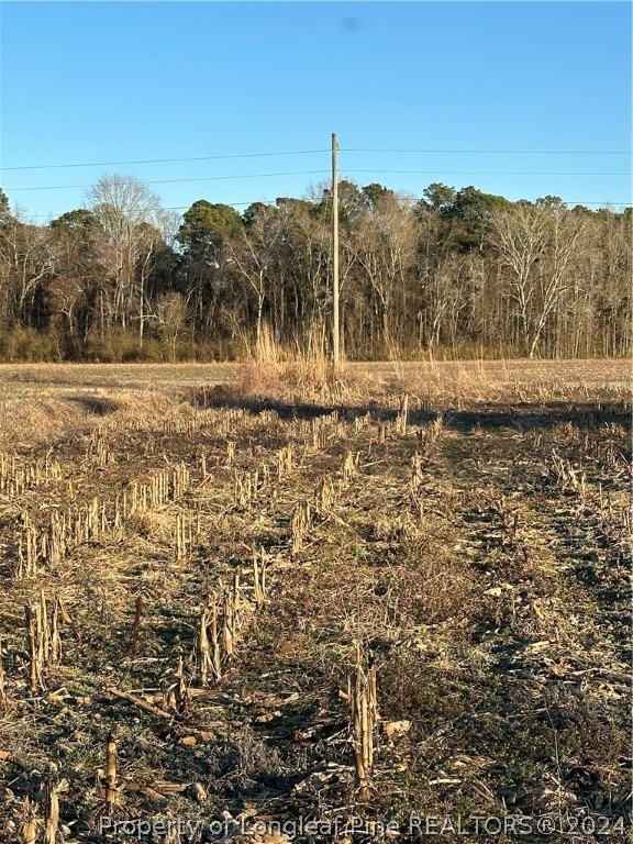 a view of a yard with mountain and a large trees