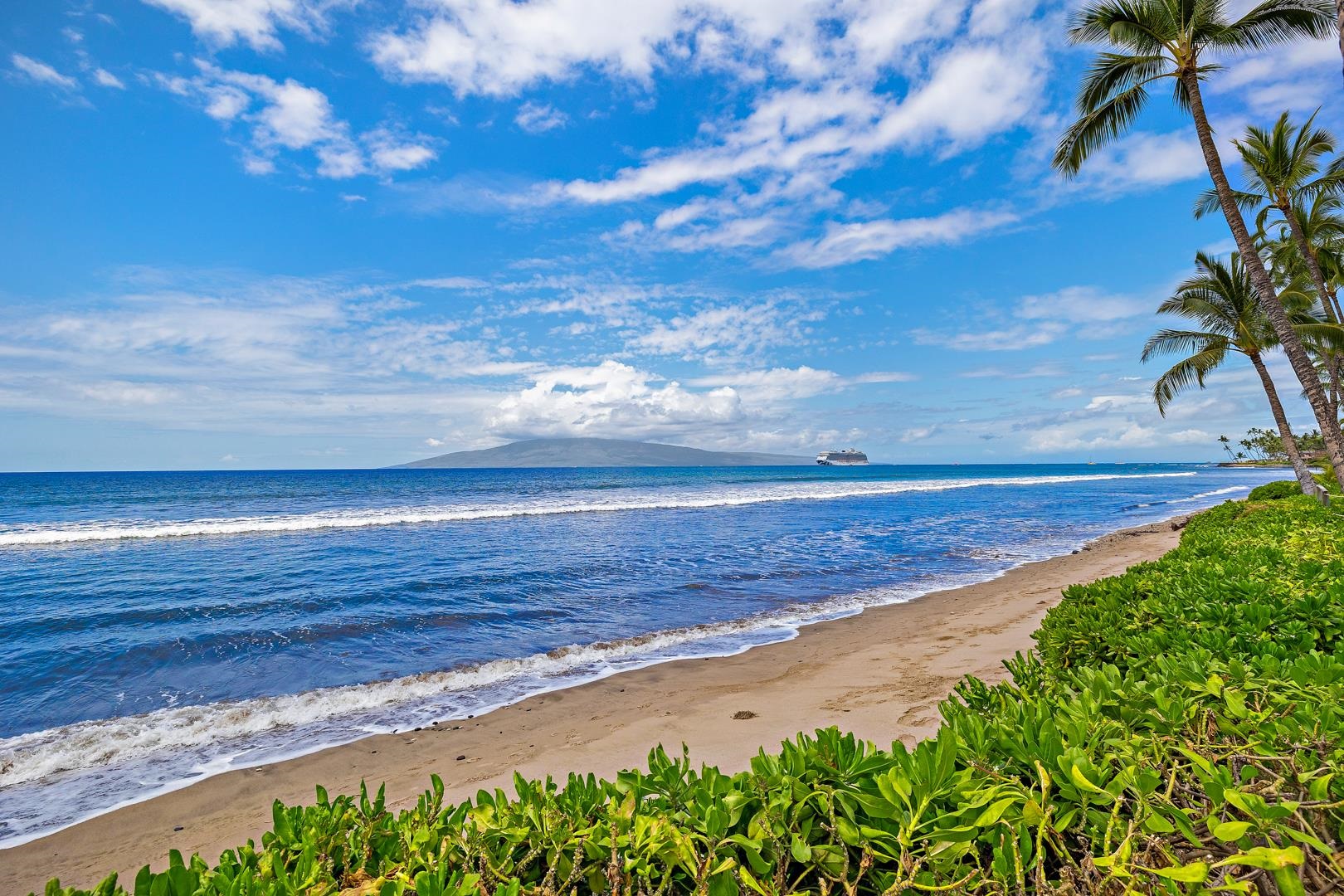 a view of an ocean and beach