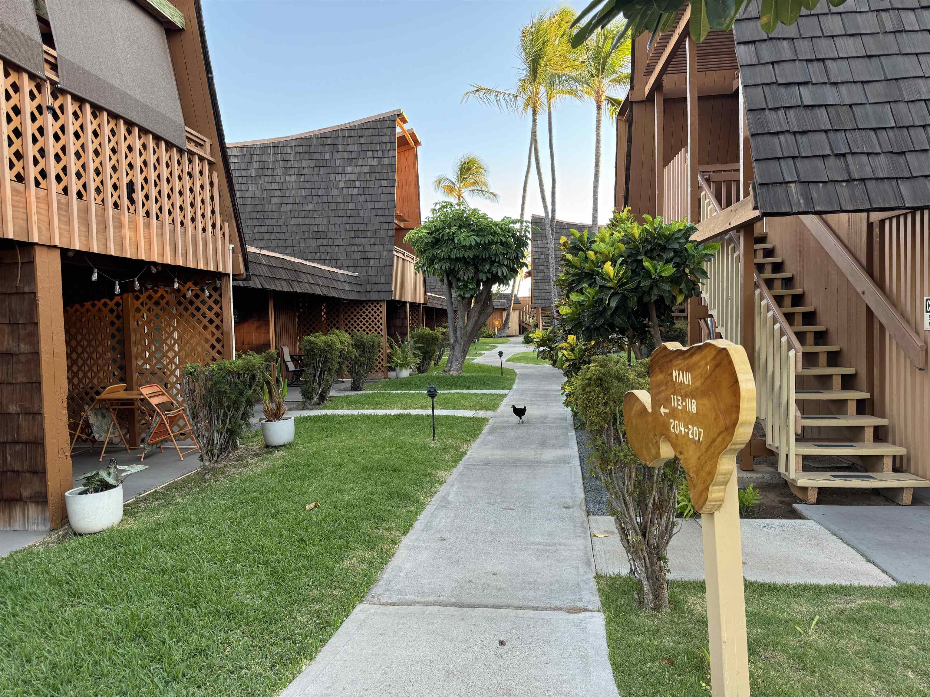 a view of a backyard with plants and a patio