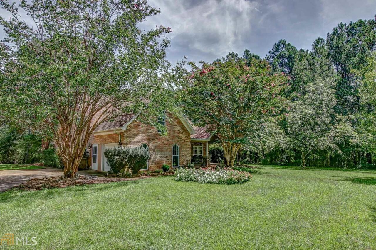 a backyard of a house with plants and large tree