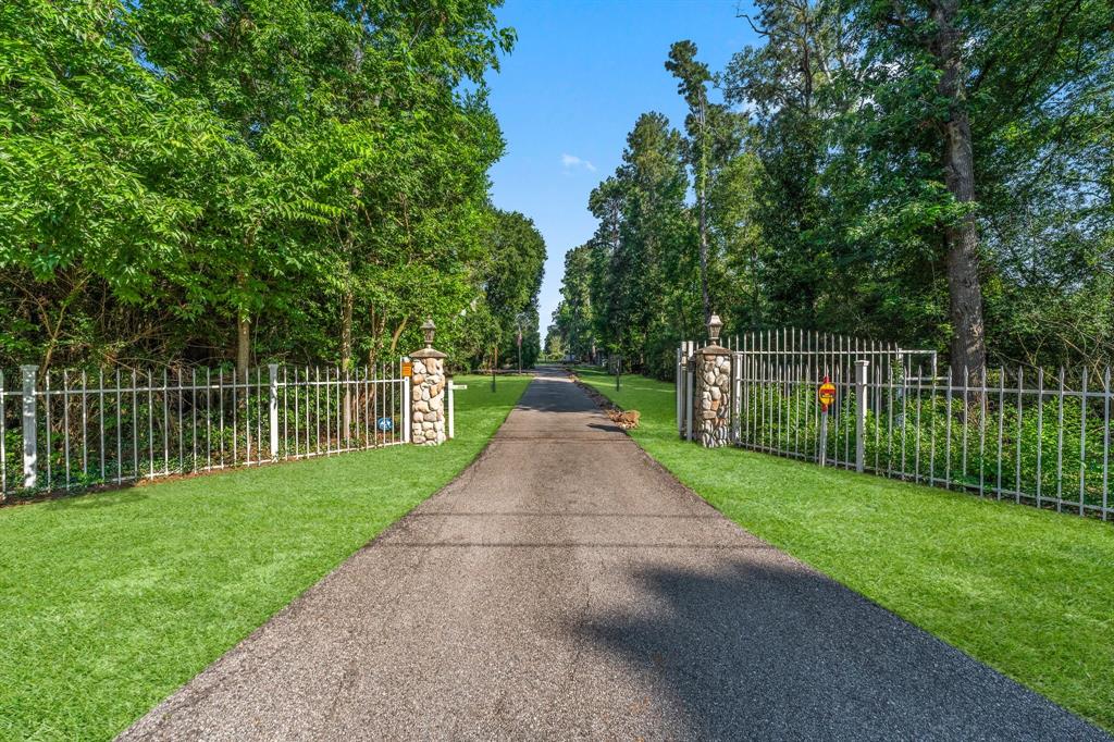 a view of a park with large trees