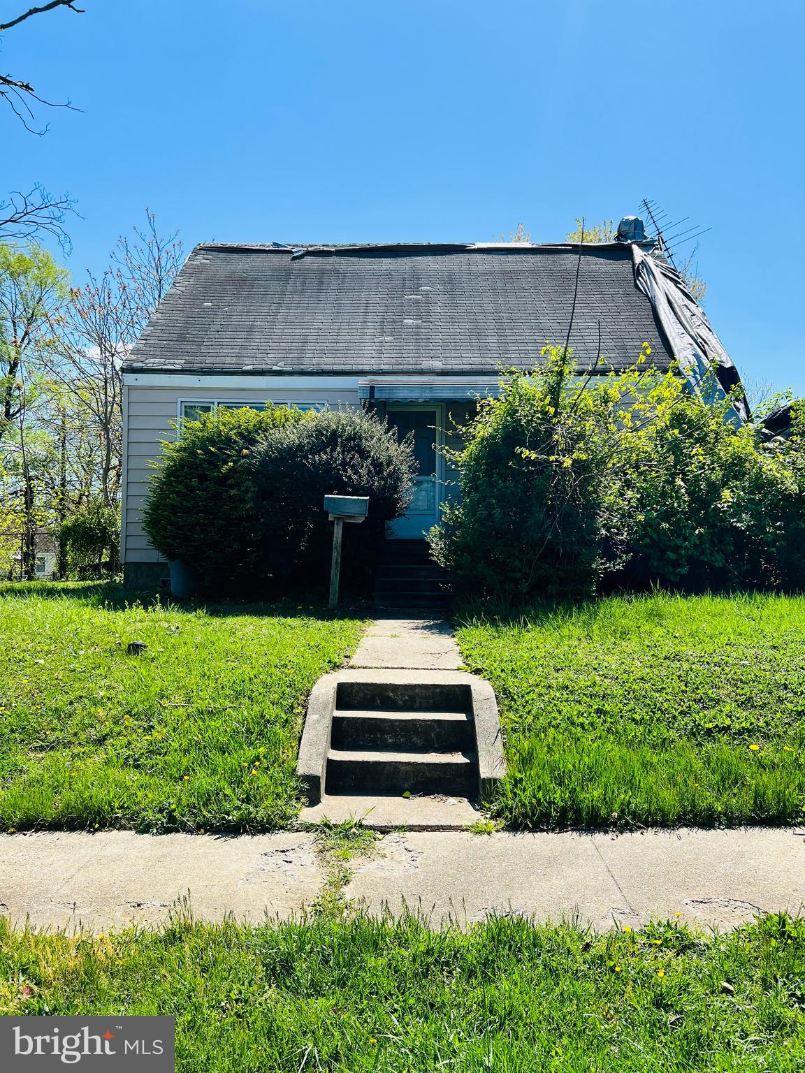 a view of a garden with plants