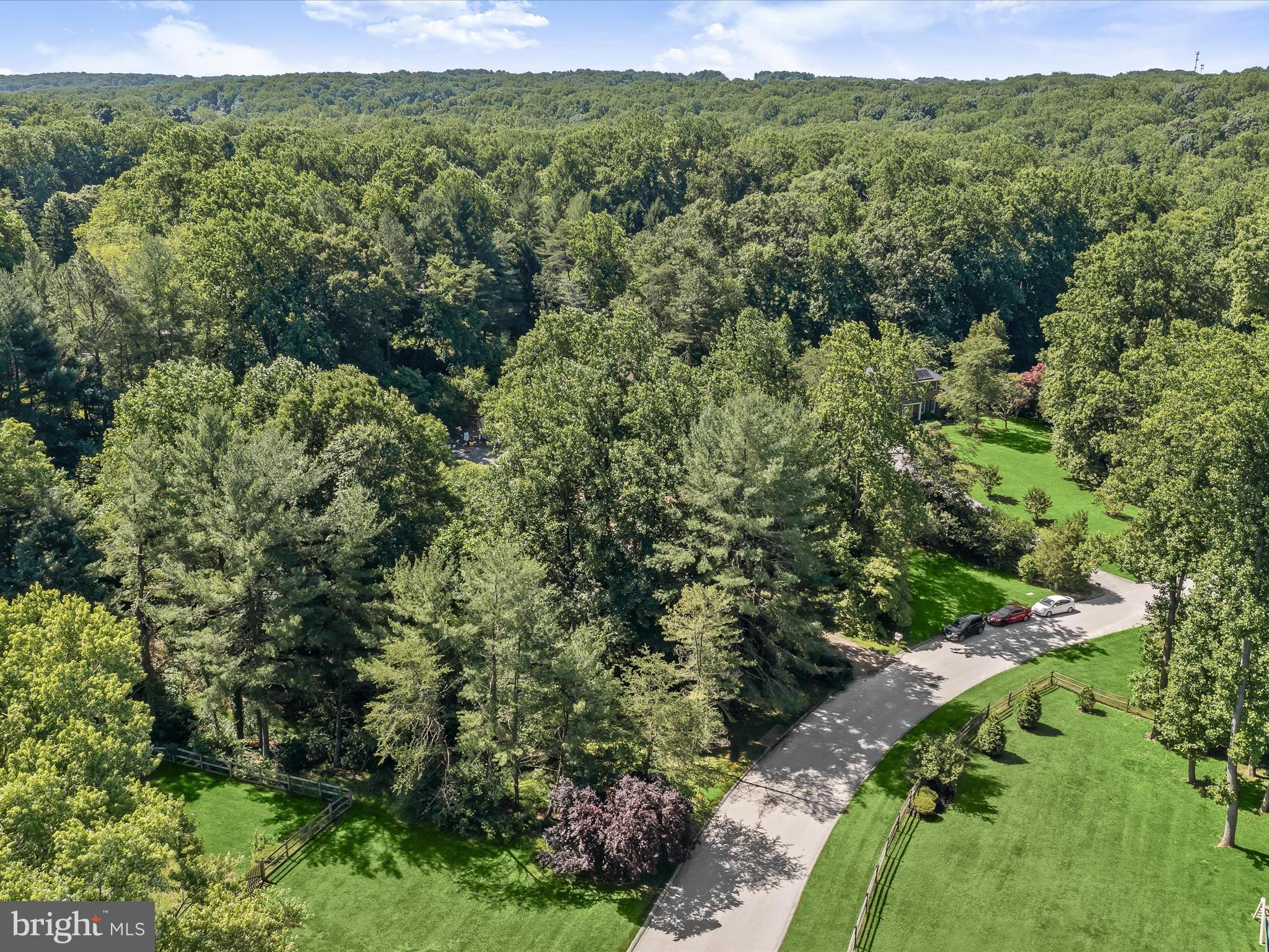 a view of a lush green forest with trees and houses