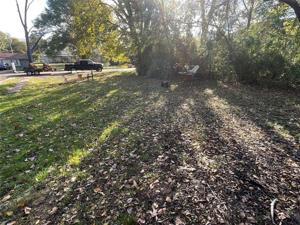 a view of yard with tree