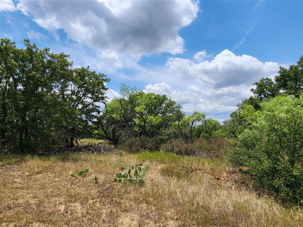 View of landscape