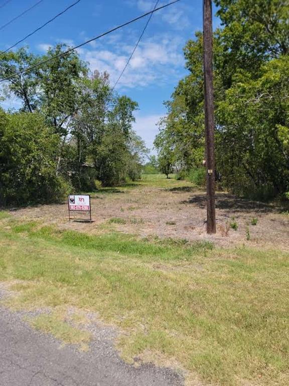 a view of a yard with a tree