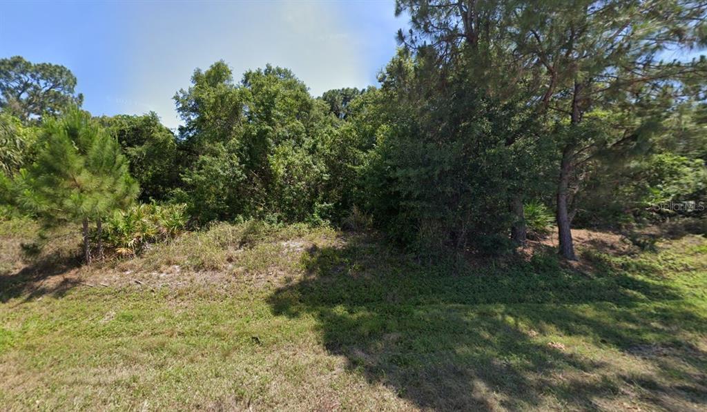 a view of a yard with a tree