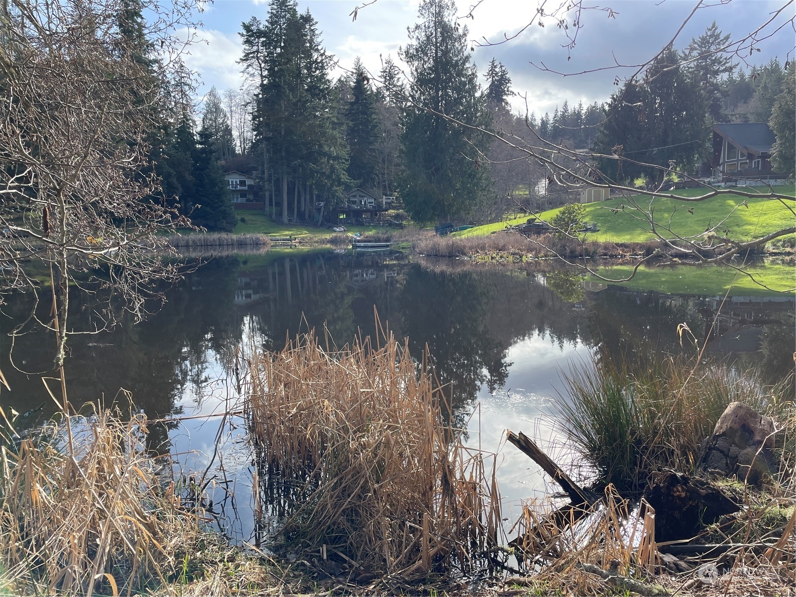 a view of a lake from a yard