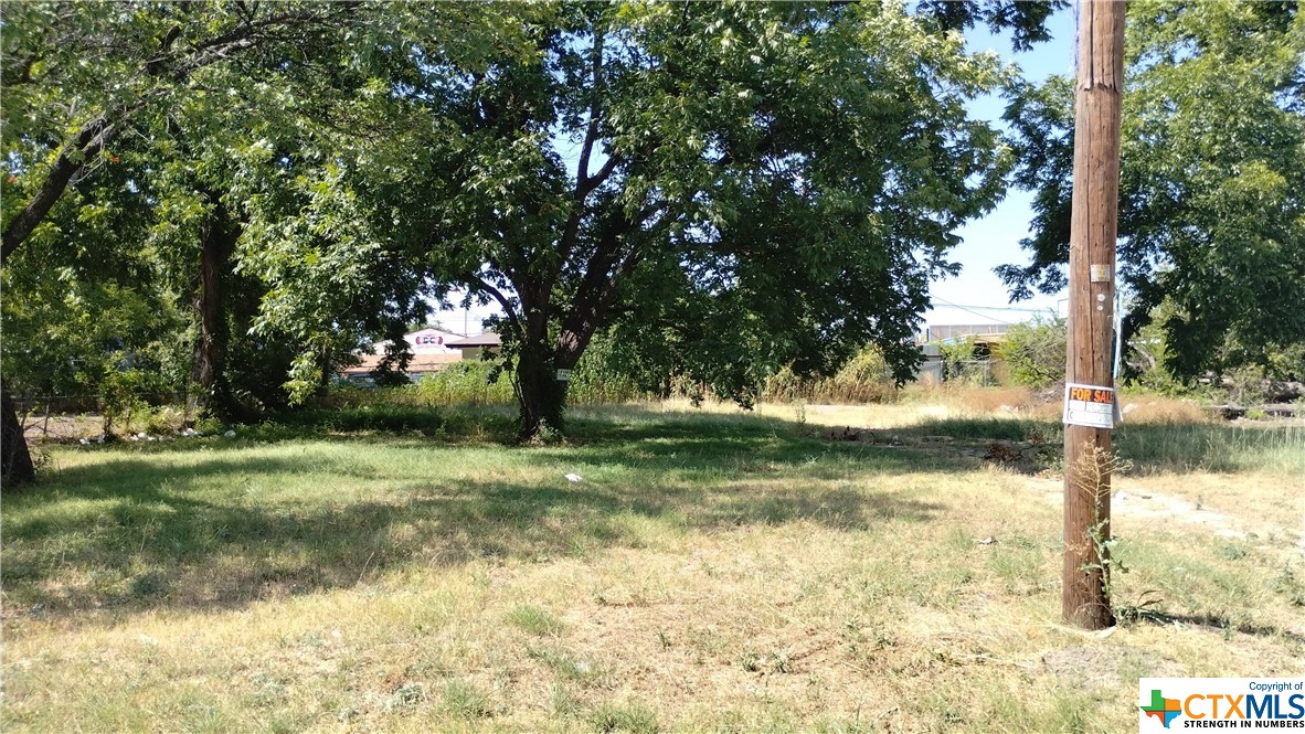 a view of backyard with green space