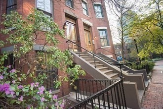 a view of a garden with staircase